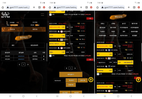 짐(gym)사이트 먹튀유형양방 베팅으로 몰아 당첨금 몰수