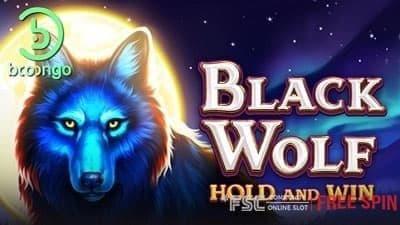 Black Wolf Hold and Win [ 블랙 울프 ] - 무료 슬롯 게임