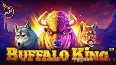 Buffalo King [ 버팔로 킹 ]