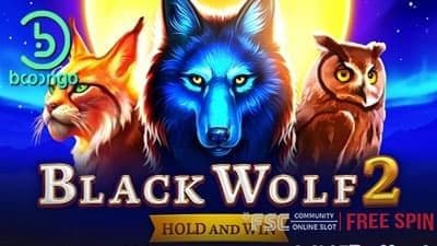 Black Wolf 2 [ 블랙 울프 2 ] - 무료 슬롯 게임