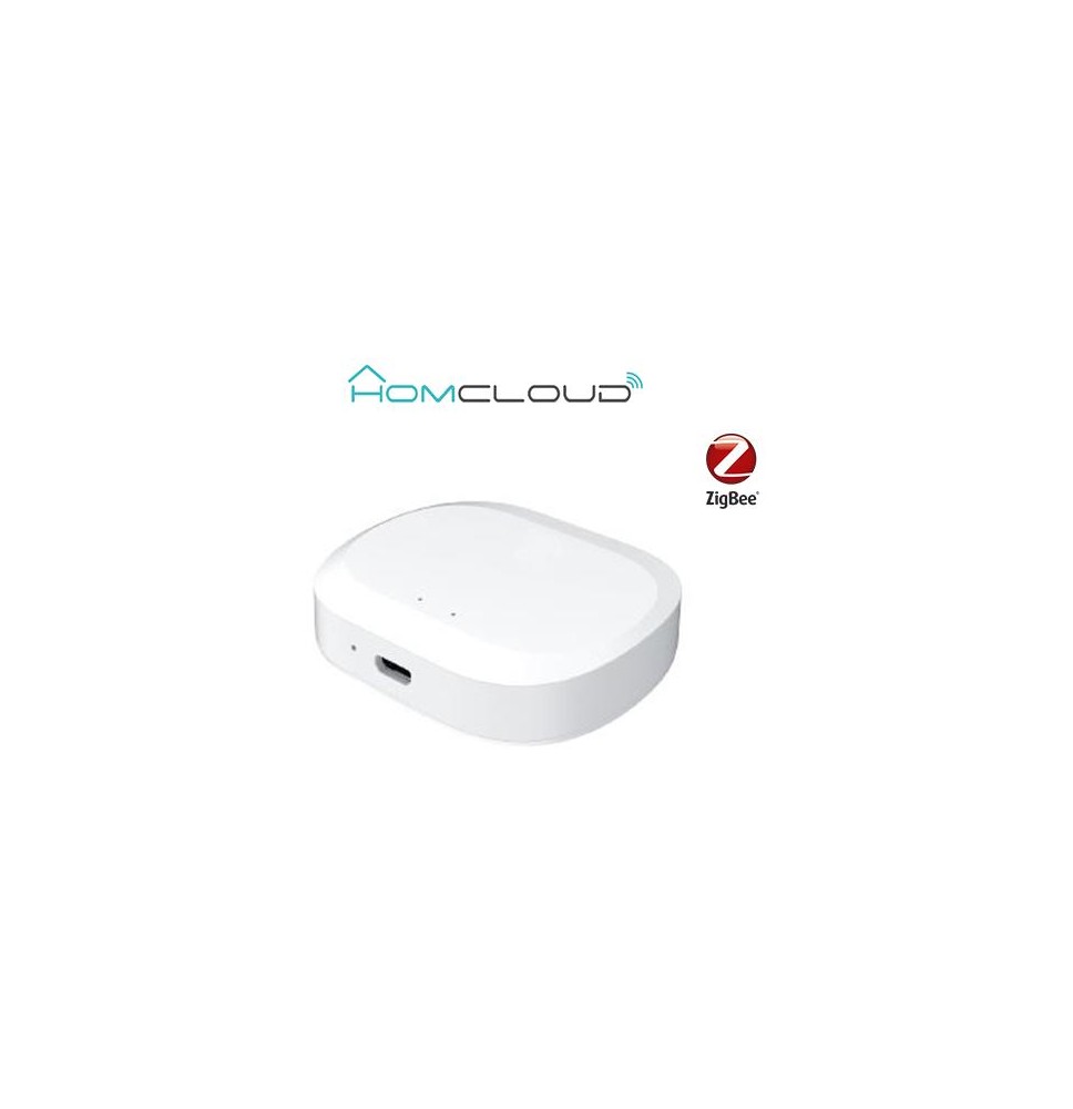 Centralina intelligente Hub - Zigbee+Bluetooth