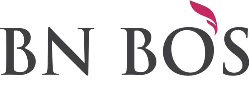 bnbos logo