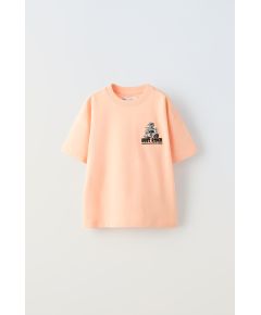 Zara Футболка с вышитым мотоциклом , Цвет: Серый, Размер: 6-7 лет (120 см)