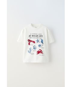 Zara Футболка с морским принтом , Цвет: Белый, Размер: 6-7 лет (120 см)