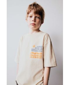 Zara Футболка с принтом на груди и на спине, Цвет: Коричневый, Размер: 6-7 лет (120 см)