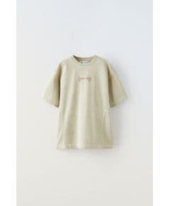 Zara Футболка с накрученным логотипом , Цвет: Коричневый, Размер: 6-7 лет (120 см)