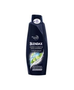 Blendax Anti-Dandruff Shampoo for Men 500 ml - Шампунь для мужчин против перхоти Blendax 500 мл.