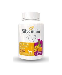 Bio PetActive Silycumin 45 таблеток - витамины для собак, поддерживающие иммунитет и рост.