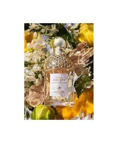 Guerlain Aqua Allegoria Bergamote Calabria Туалетная вода 75 мл для женщин