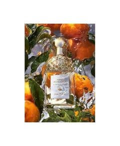 Guerlain Aqua Allegoria Mandarine Basilic Туалетная вода 75 мл для женщин