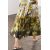 Zara   zw collection floral print skirt , Цвет: С принтом, Размер: M, изображение 4