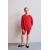 Zara Спортивный костюм для велосипедистов из толстовки и леггинсов , Цвет: Красный, Размер: 6 лет (116 см)