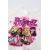 Zara Футболка bratz® , Цвет: Белый, Размер: 6-7 лет (120 см), изображение 6