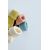 Zara Pack of 4 coloured socks - упаковка из четырех пар цветных носков с отворотами, Цвет: С принтом, Размер: 0-1 месяцев (10 см), изображение 2