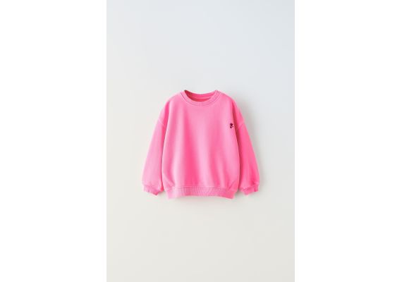 Zara  : свитшот с вышивкой в цветении готовой одежды , Цвет: multicolor, Размер: 1½ лет (86 см)