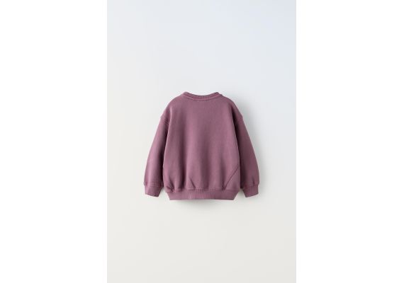 Zara Пленчевый свитшот с контрастными швами , Цвет: multicolor, Размер: 2 лет (92 см), изображение 2