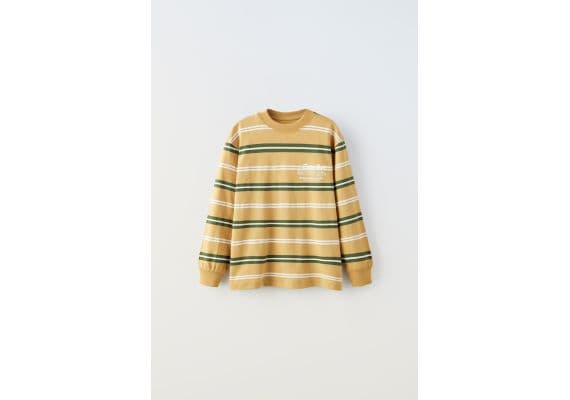 Zara Полосатая футболка с лозунгом , Цвет: Коричневый, Размер: 6-7 лет (120 см), изображение 2