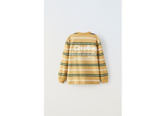 Zara Полосатая футболка с лозунгом , Цвет: Коричневый, Размер: 6-7 лет (120 см), изображение 3