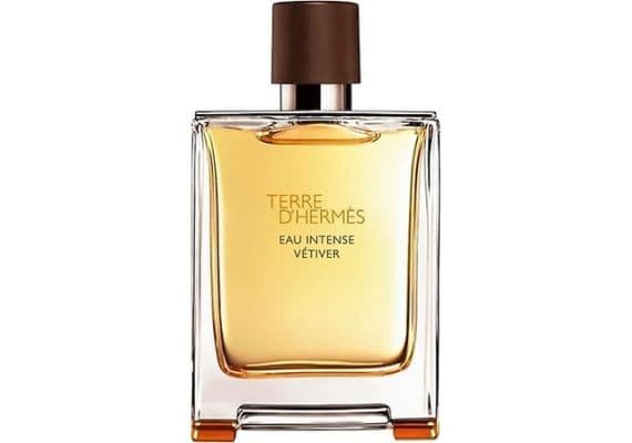 Hermes Terre d'HEUS EAU INTENSE VATİVER Парфюмированная вода 100 мл для мужчин