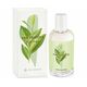 Yves Rocher La Collection Green Çay для женщин 100 мл