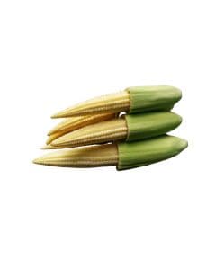 - Baby Corn - image 3 | Inaivaa - Fresh & Wonderful | Bazaa