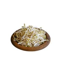 - Bean Sprouts - image 3 | Inaivaa - Fresh & Wonderful | Bazaa