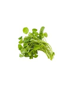 - Chinese Watercress - image 3 | Inaivaa - Fresh & Wonderful | Bazaa