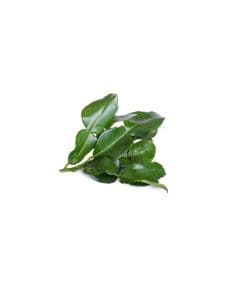 - Kaffir Lime Leaves - image 3 | Inaivaa - Fresh & Wonderful | Bazaa