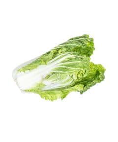 - Napa Cabbage - image 3 | Inaivaa - Fresh & Wonderful | Bazaa