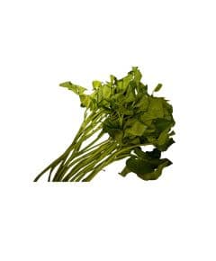 - Water Spinach (Kangkong or Ong Choy) - image 3 | Inaivaa - Fresh & Wonderful | Bazaa