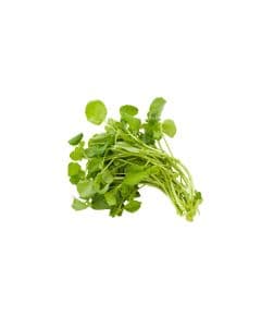 - Watercress - image 3 | Inaivaa - Fresh & Wonderful | Bazaa