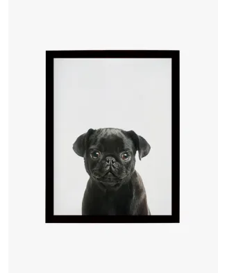 Cuadro Pug Negro Bebe | Be Minimal