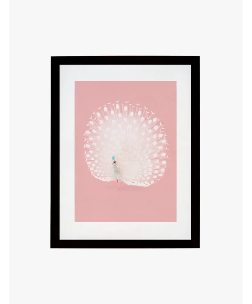 Cuadro Pavo Real | Be Minimal