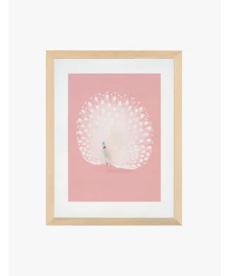 Cuadro Pavo Real | Be Minimal