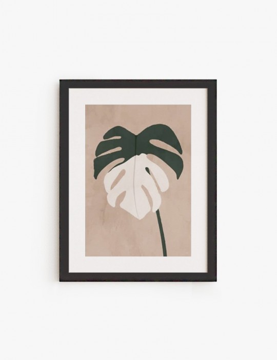 Monstera