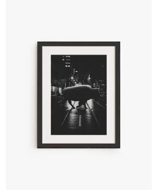 Cuadro Bisonte | Be Minimal