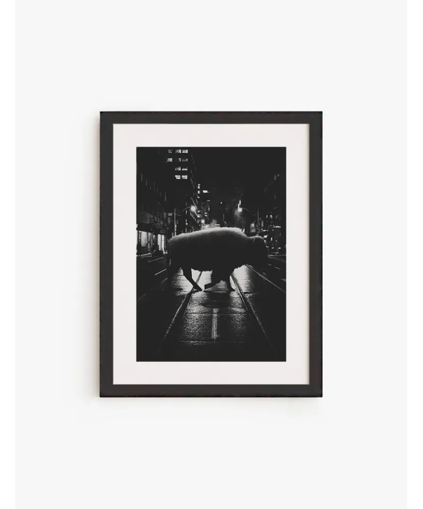 Cuadro Bisonte | Be Minimal