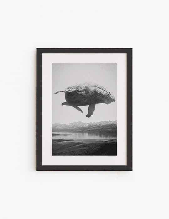 Ballena volando