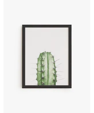 Cuadro Cactu Verde | Be Minimal