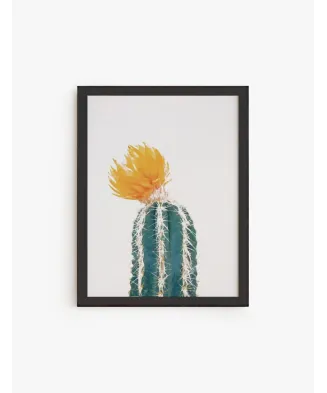 Cuadro Cactus Flor amarilla | Be Minimal