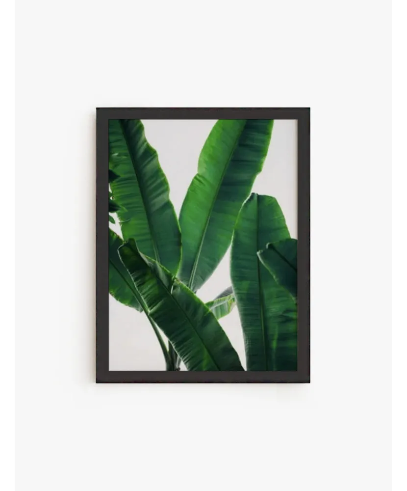 Cuadro Banana Leaves | Be Minimal