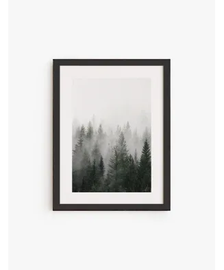 uadro Bosque 02 | Be Minimal