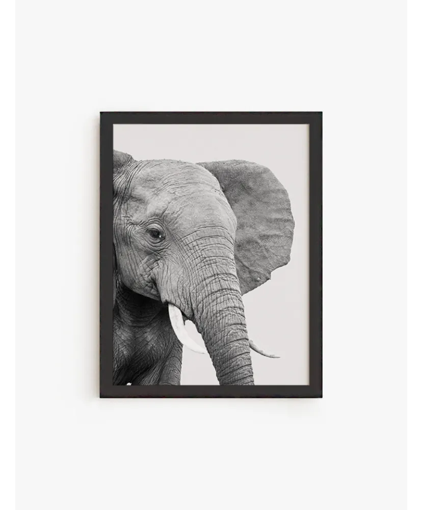 Cuadro Elefante Africano | Be Minimal