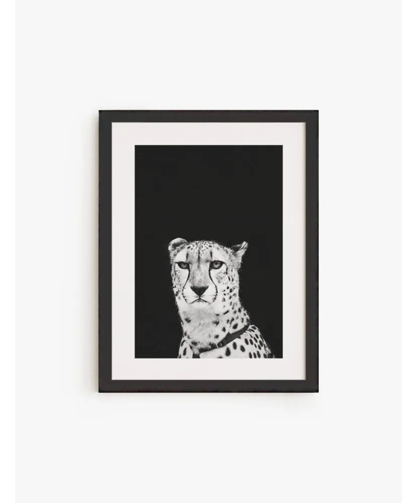 Cuadro Cheetah | Be Minimal