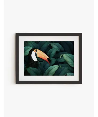 Cuadro Tucan | Be Minimal