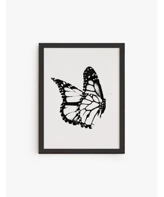Cuadro Mariposa | Be Minimal
