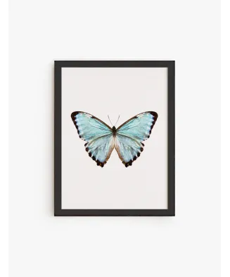 Cuadro Mariposa Color  A | Be Minimal