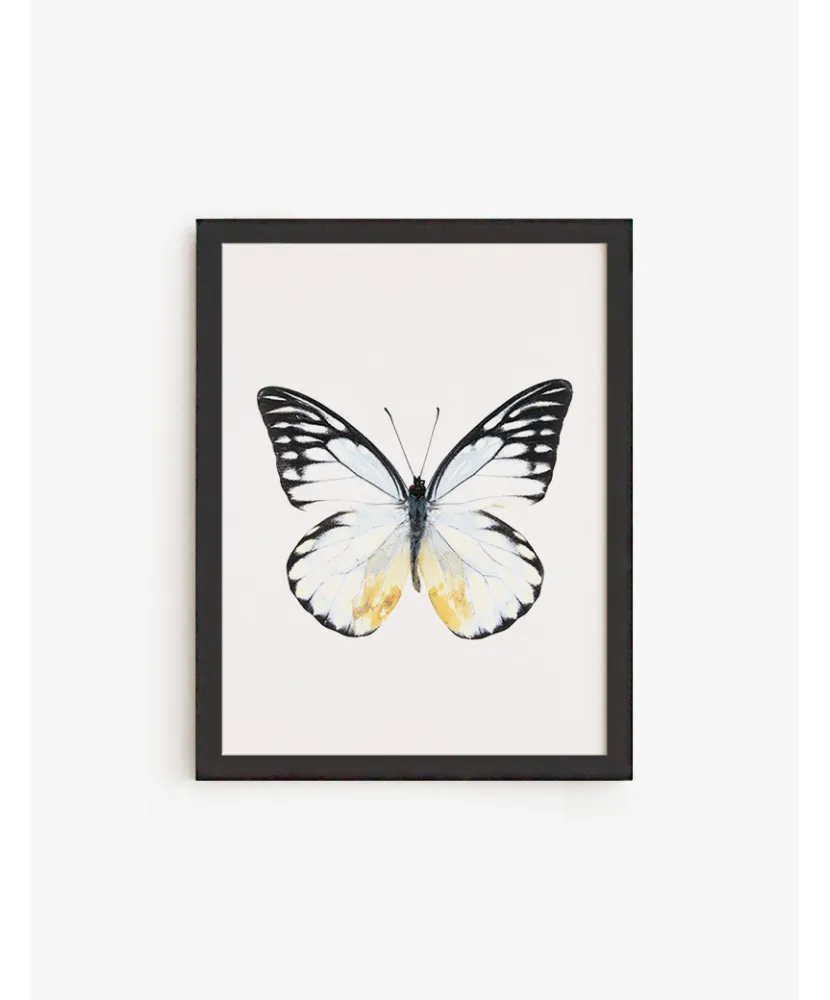 Cuadro Mariposa Color C | Be Minimal