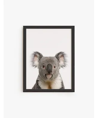 Cuadro Koala | Be Minimal