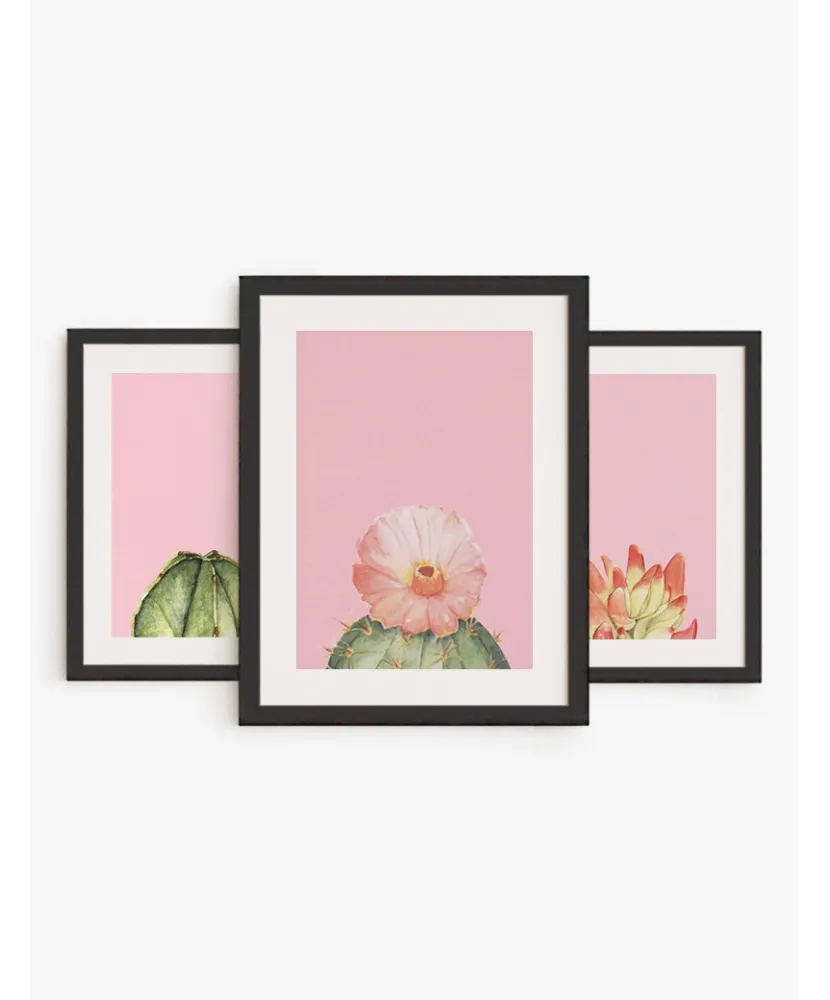 Set cuadro Cactus Rosa | Be Minimal